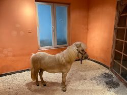 -Zoolung Zoolung动物主题公园(海信广场店)