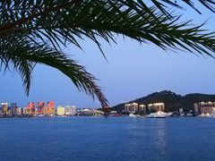 -凤凰岛度假酒店-海鲜自助餐厅