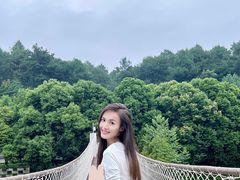 -铁山坪森林公园