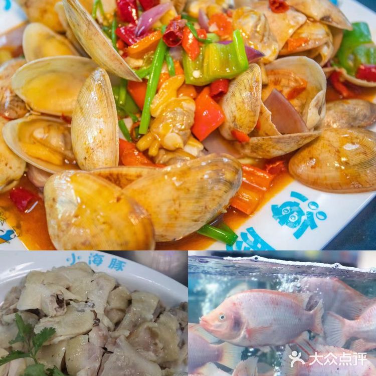 三亚探店‖小海豚海鲜邀请你