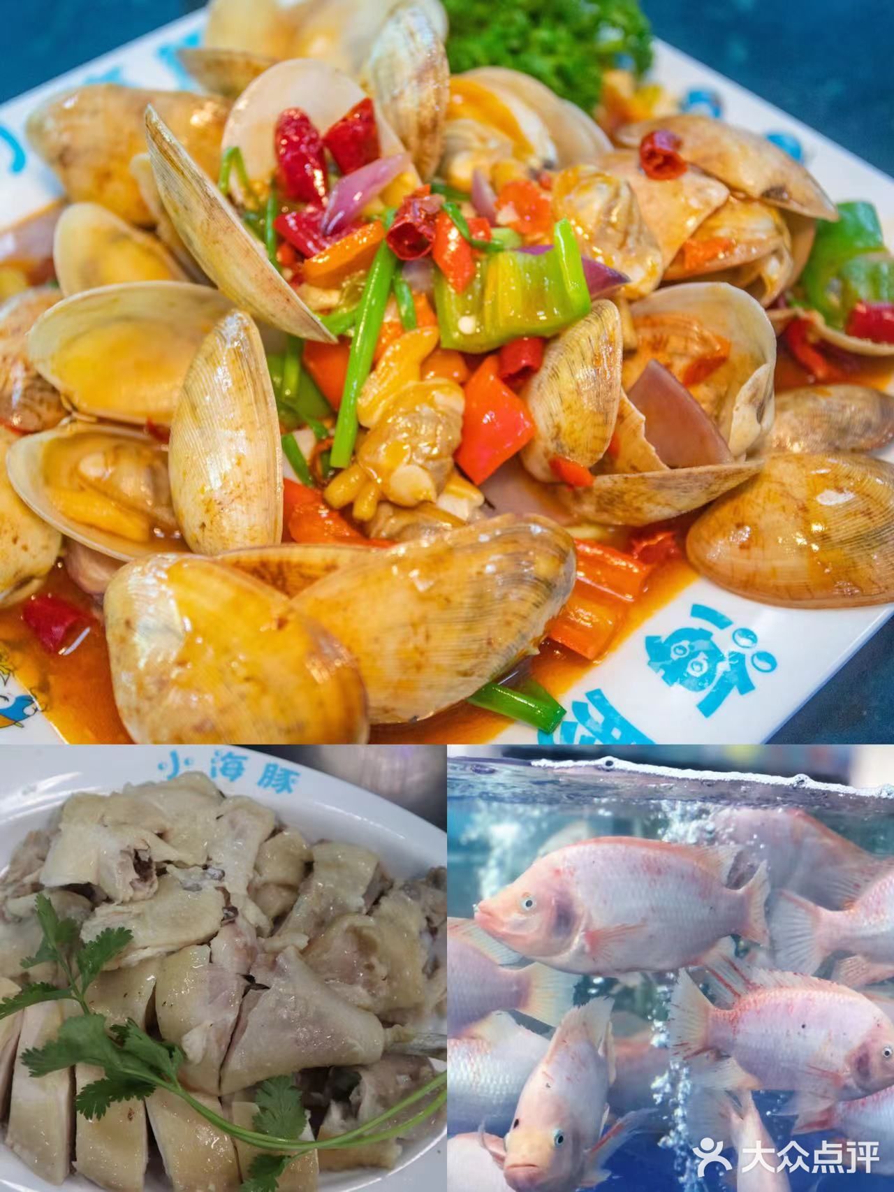 三亚探店‖小海豚海鲜邀请你