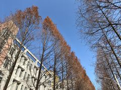 -杭州师范大学(下沙校区)