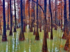 -星湖旅游景区七星岩