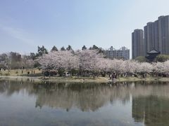 -堤角公园