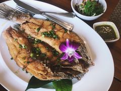 -Chom Cafe and Restaurant