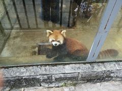 -柳州市动物园