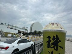-野狸岛