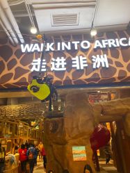 -鲁比猴非洲探索部落(喜盈门店)