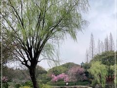 -无锡梅园公园