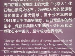 -北京周口店北京人遗址博物馆