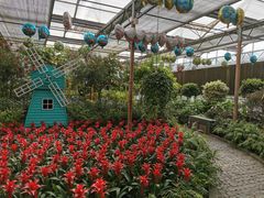 -南宫五洲植物乐园