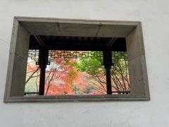 -秋霞圃