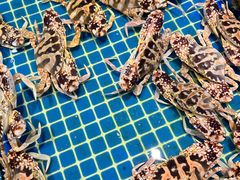 -三亚火车头万人海鲜广场