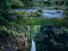 -龙苍沟森林公园