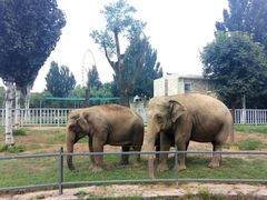 -石家庄市动物园