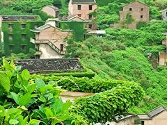-枸杞岛