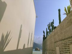 -后海村