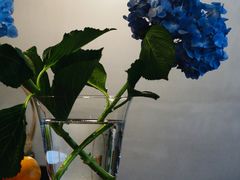-concerto协奏曲咖啡店