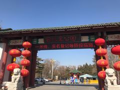 -百脉泉景区