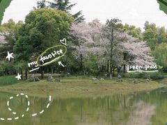 -堤角公园