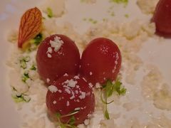 -桂满陇·海市蜃楼·黑金(国金店)