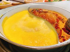 -青瓷火锅料理(西单大悦城店)