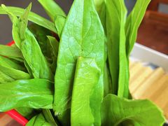 蔬菜组合-北门涮肉·铜锅涮肉(南锣鼓巷店)