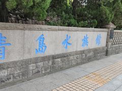-青岛海底世界-水族馆