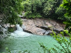 -广州白江湖森林公园