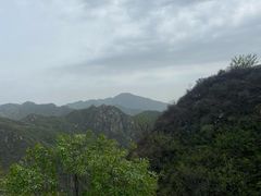 -大岭沟猕猴桃谷风景区