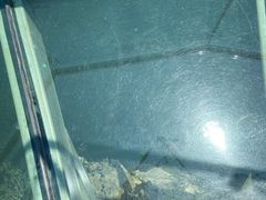 -大连冰峪旅游度假区