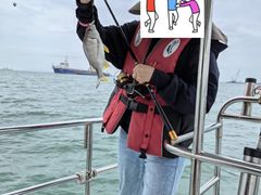 -鑫艋游艇海钓俱乐部