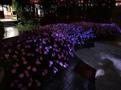 -大唐博相府酒店·陕西官府菜