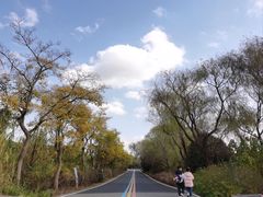 -同里国家湿地公园