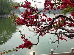 -陶然亭公园