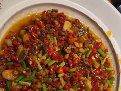 -7017浙菜•建德味(中财店)