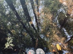 -东湖落雁景区