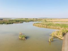 -盐城丹顶鹤湿地生态旅游区