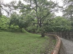 -沈阳市东陵公园