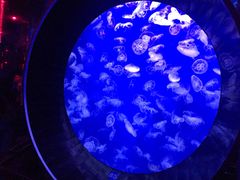 -成都浩海立方海洋公园