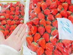 -西郊国际农产品交易中心