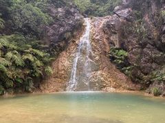 -南海湾森林生态园