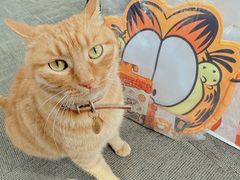 -棒约翰比萨(望京SOHO店)