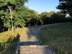 -莫子山公园