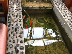 -丽江庭院之爱在路上(西单店)