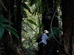-中国科学院西双版纳热带植物园