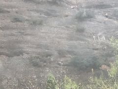 -剑门关风景区