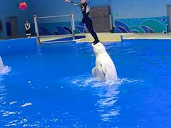 -石家庄市动物园