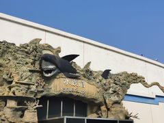 -秦皇岛乐岛海洋王国