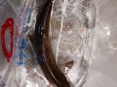 -胖师鱼馆非遗砂锅雅鱼(大北街店)